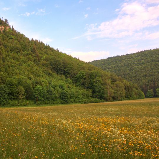 Burgreste Bräunisburg