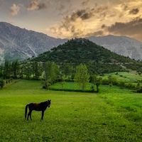 provincia di Kahramanmaraş