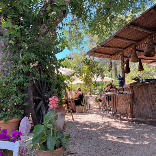 Paloma Cafe
