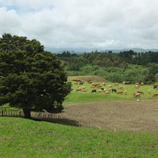 Makirikiri Scenic Reserve