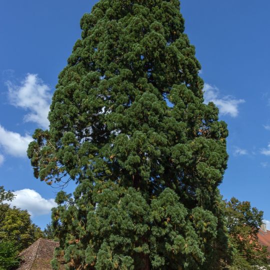 Schlosspark Schloss Schwarzenberg