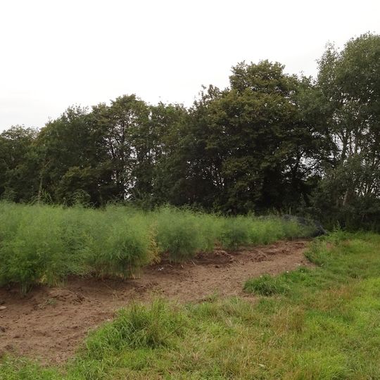 Vogelschutzbrutstätte Ewigerstumpf