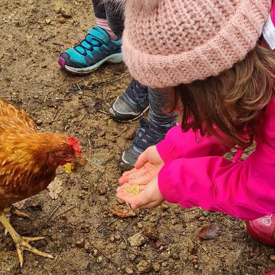 Complicités Animales