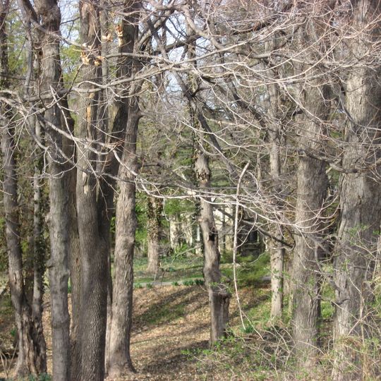 Jamieson-Bennett House