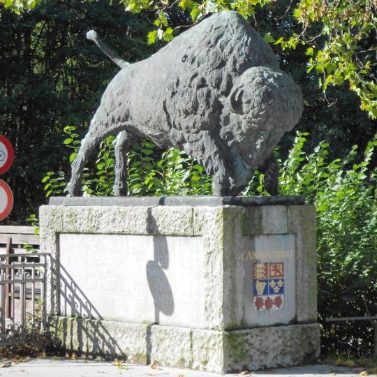 Bisons on the Canada Bridge