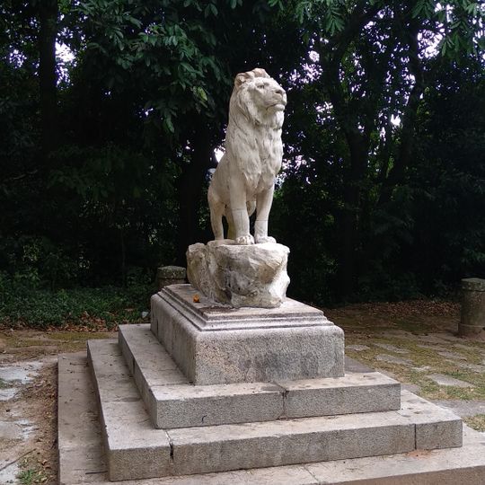 Leão do Alto da Boa Vista