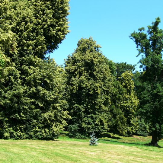 Park in Starzyński Dwór