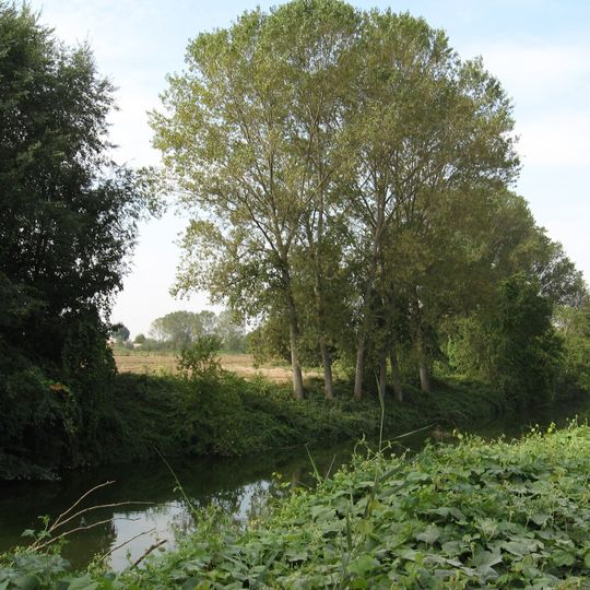 Riserva naturale orientata Parma Morta