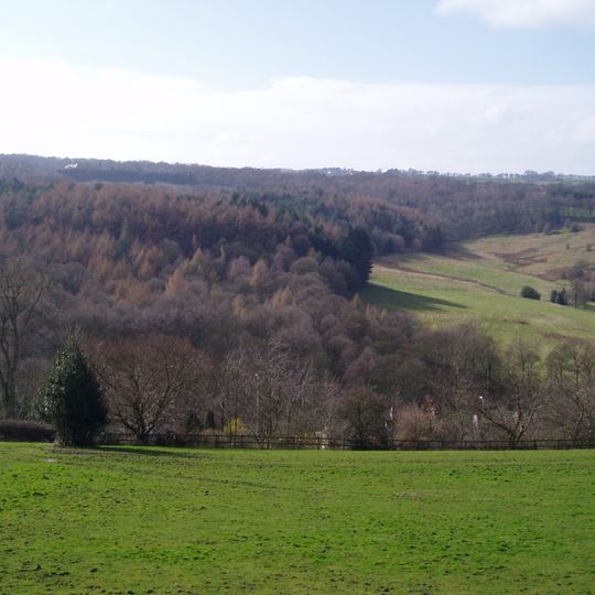 Myers Wood