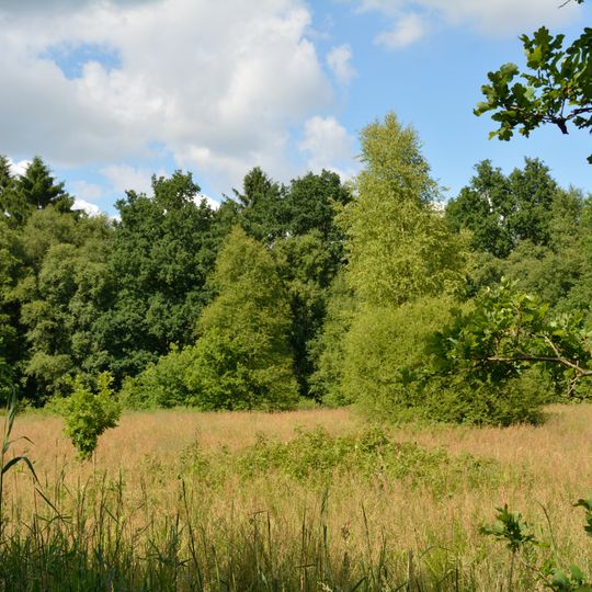 Hohenfelder Moor