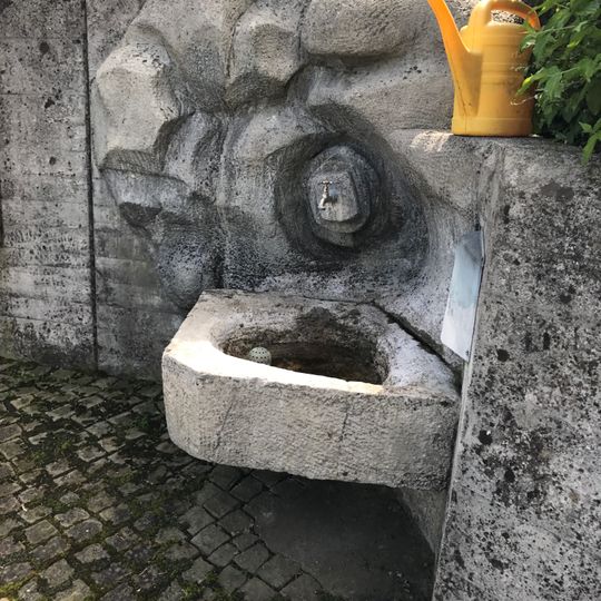 Brunnen Friedhof 5