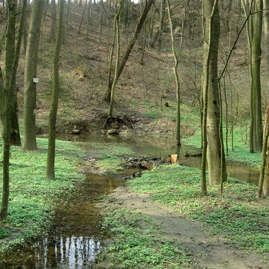 Hostěnické propadání