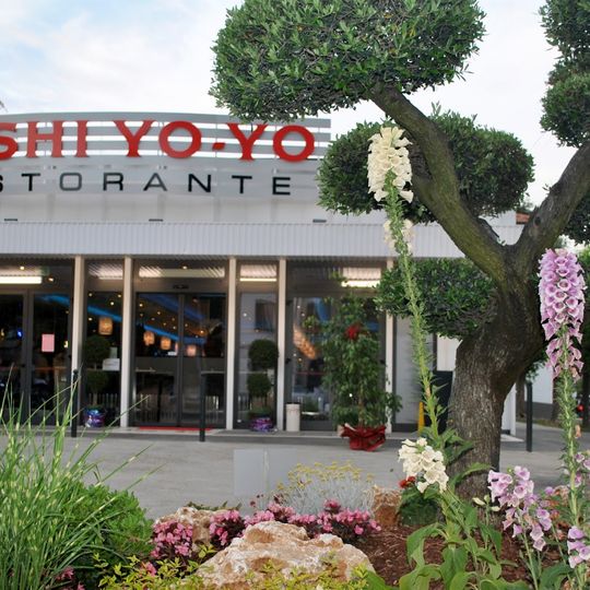Sushi Yo Yo