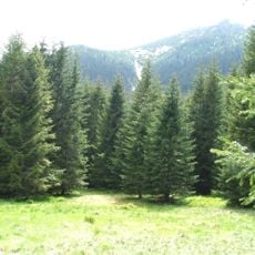 Polana pod Wołoszynem