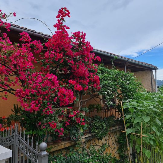 The Venetian Lion of the Acropolis of the Old Fortress