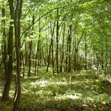 Nature reserve in Głęboka Dolina