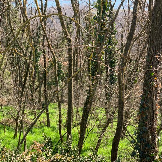 Costière du bois de Laie