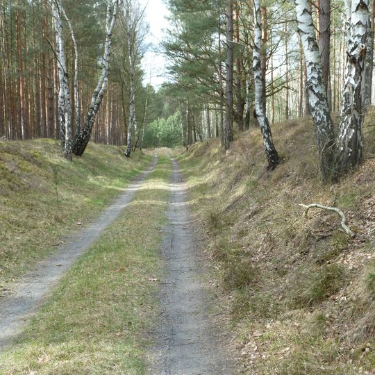 Kummersdorfer Heide/Breiter Steinbusch