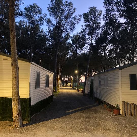 Camping El Temple