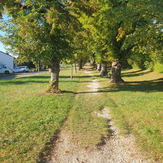 Lindenallee u. Baumgruppe