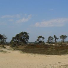Parc national Drents-Friese Wold