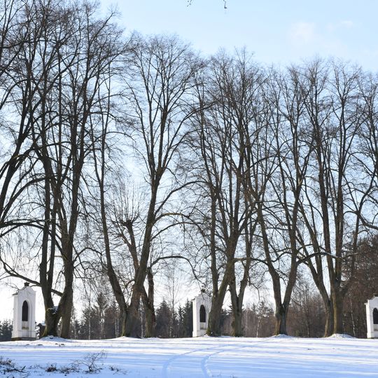 Lipová alej na křížové cestě