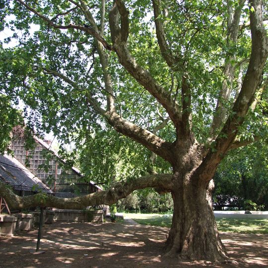 Orto botanico di Odessa