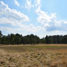 Halloher Moor, Brandsheide und Könster Moor