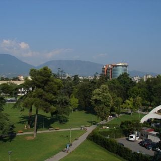 Rinia Park