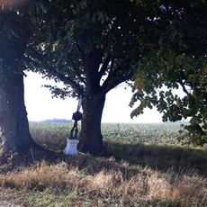 Kříž jihozápadně od Stranné