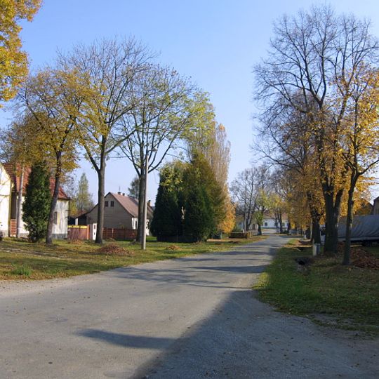 Dřevec