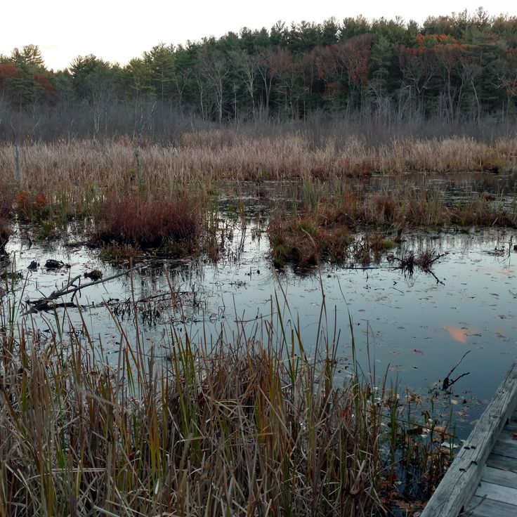 Broadmoor Wildtierreservat