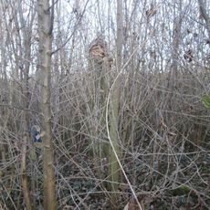 Kříž severně od Třebnic