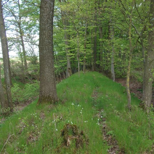 Rothenburger Landhege