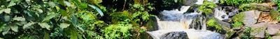 Panoramic View 5