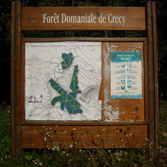 Forêt de Crécy-la-Chapelle