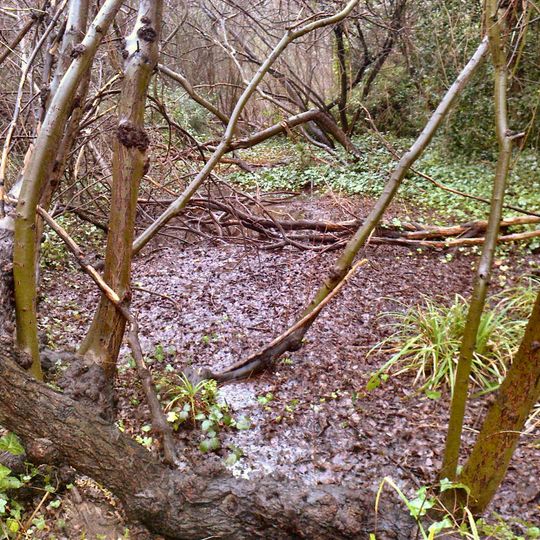 Gunnersbury Triangle