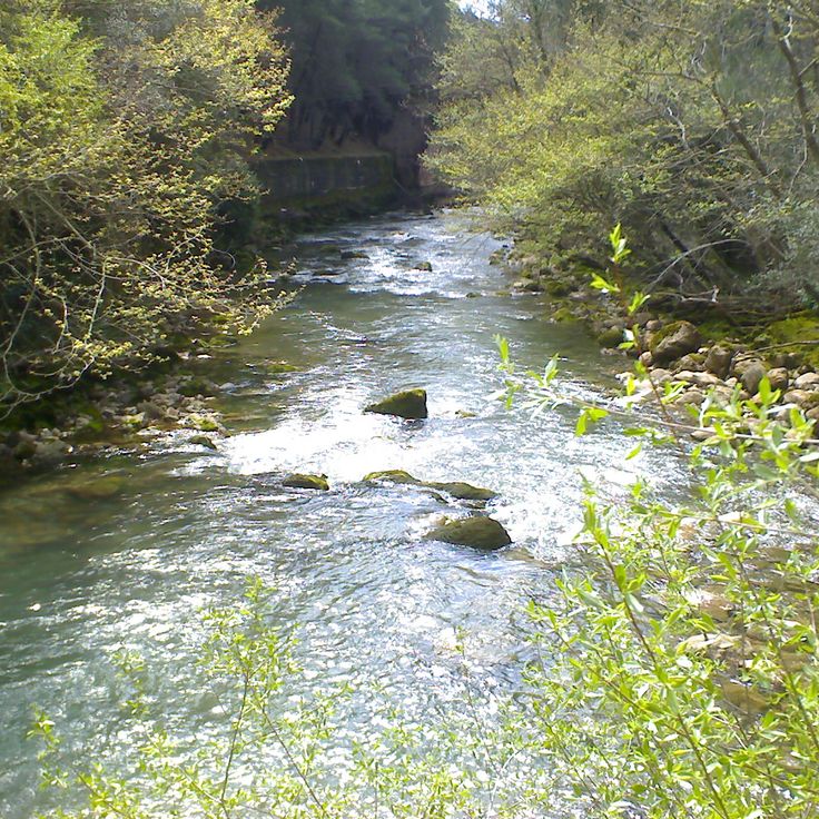 Ladon River
