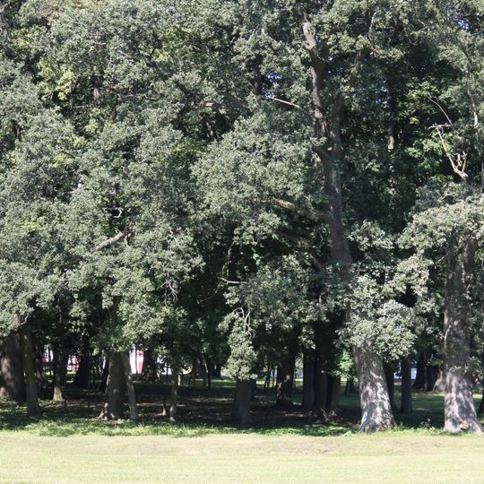 Park pałacowy z alejami dojazdowymi, XVIII/XIX