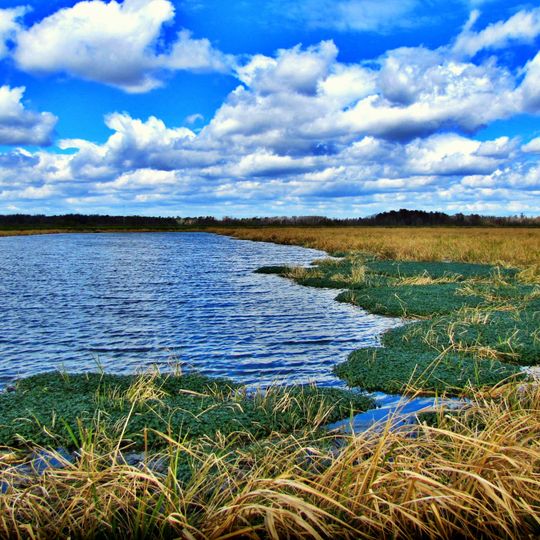 Phinizy Swamp Nature Park