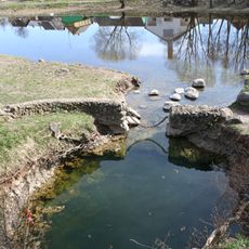 Žalsvasis šaltinis