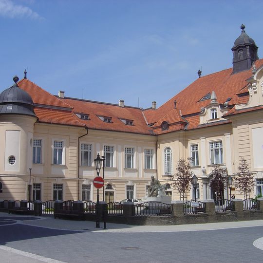 Podunajské múzeum, múzeum