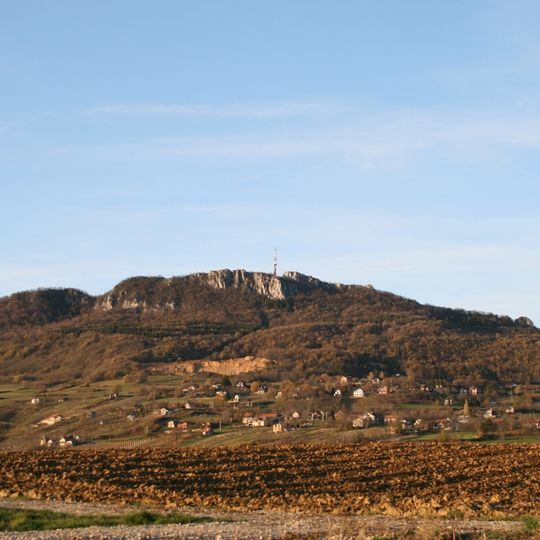 Kalnik