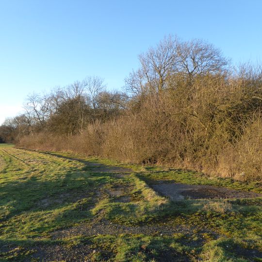 Stoke and Bowd Lane Woods