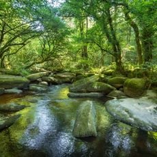 Camp protohistorique de Toul-Goulic