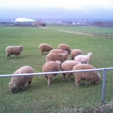 Hitsujigaoka Observation Hill