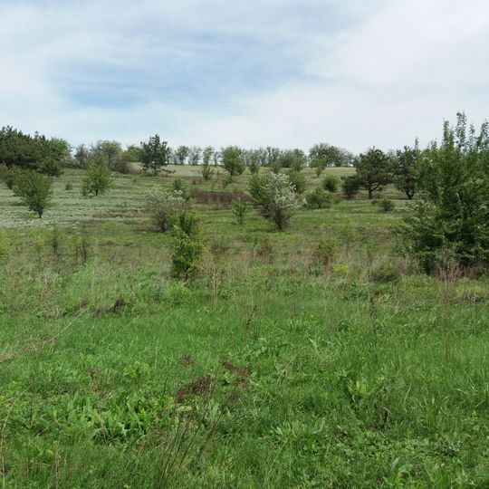 Buzove Botanical Reserve