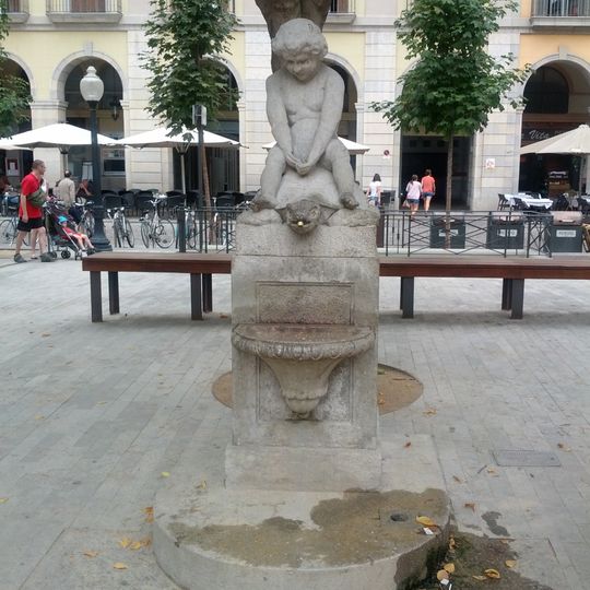 Font del Nen de la Tortuga