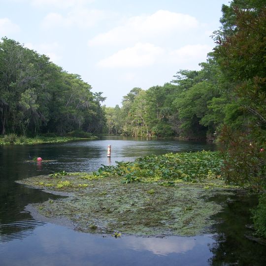 Silver Springs State Park