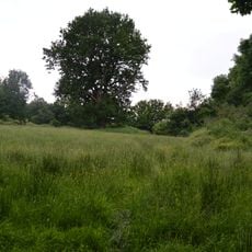 Mill Meadows, Billericay